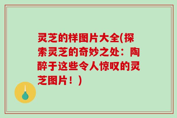灵芝的样图片大全(探索灵芝的奇妙之处：陶醉于这些令人惊叹的灵芝图片！)