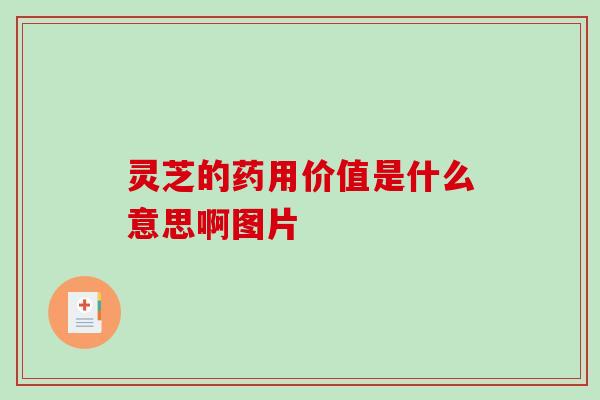 灵芝的药用价值是什么意思啊图片