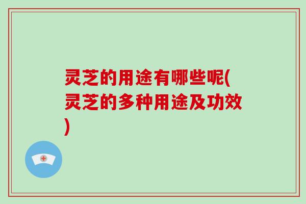 灵芝的用途有哪些呢(灵芝的多种用途及功效)