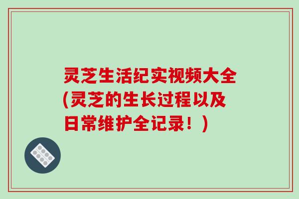灵芝生活纪实视频大全(灵芝的生长过程以及日常维护全记录！)