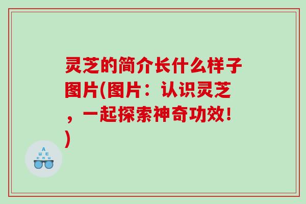 灵芝的简介长什么样子图片(图片:认识灵芝,一起探索神奇功效!) 灵芝的简介长什么样子图片(图片:认识灵芝,一起探索神奇功效!)