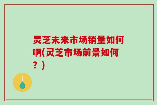 灵芝未来市场销量如何啊(灵芝市场前景如何？)
