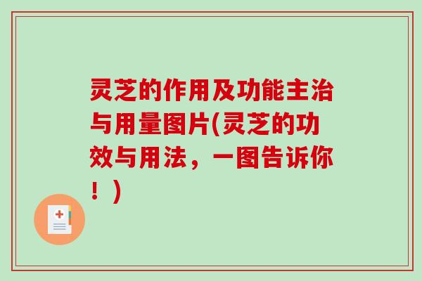 灵芝的作用及功能主与用量图片(灵芝的功效与用法，一图告诉你！)