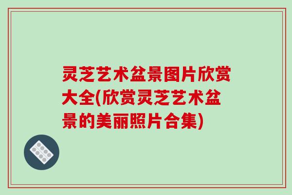 灵芝艺术盆景图片欣赏大全(欣赏灵芝艺术盆景的美丽照片合集)