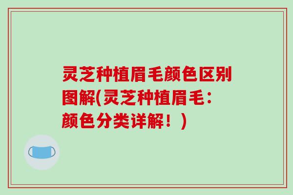 灵芝种植眉毛颜色区别图解(灵芝种植眉毛：颜色分类详解！)