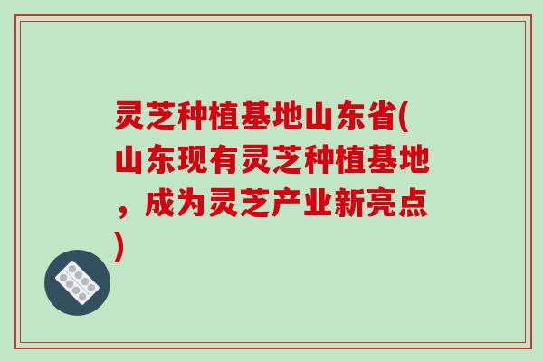 灵芝种植基地山东省(山东现有灵芝种植基地，成为灵芝产业新亮点)