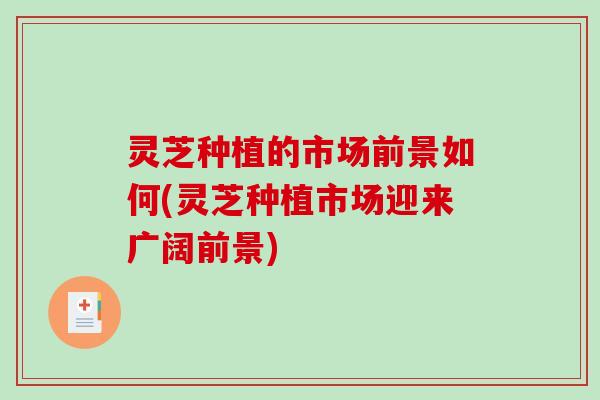 灵芝种植的市场前景如何(灵芝种植市场迎来广阔前景)