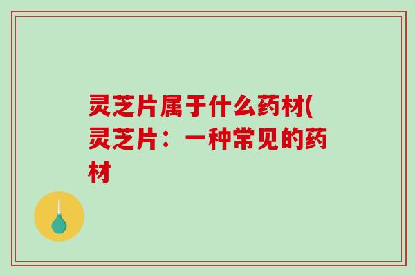 灵芝片属于什么药材(灵芝片：一种常见的药材