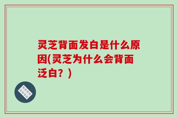 灵芝背面发白是什么原因(灵芝为什么会背面泛白？)