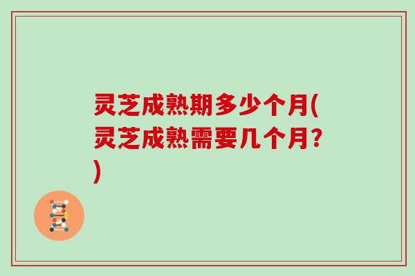 灵芝成熟期多少个月(灵芝成熟需要几个月?) 灵芝成熟期多少个月(灵芝成熟需要几个月?)