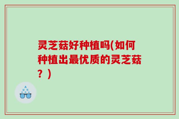 灵芝菇好种植吗(如何种植出优质的灵芝菇?) 灵芝菇好种植吗(如何种植出优质的灵芝菇?)