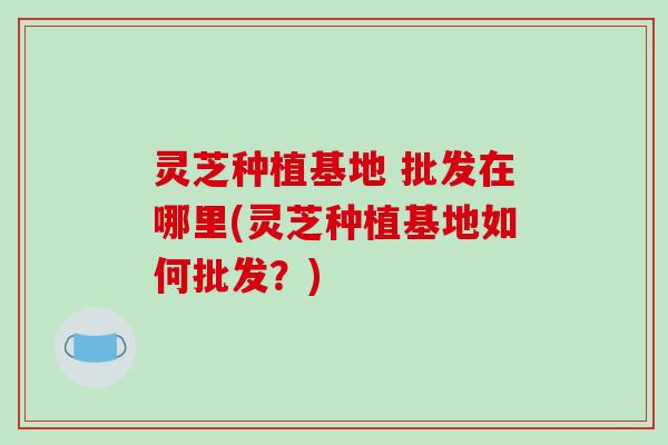 灵芝种植基地 批发在哪里(灵芝种植基地如何批发？)
