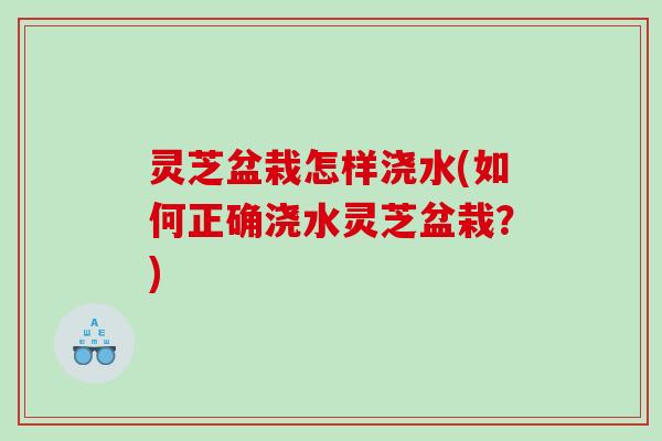 灵芝盆栽怎样浇水(如何正确浇水灵芝盆栽？)