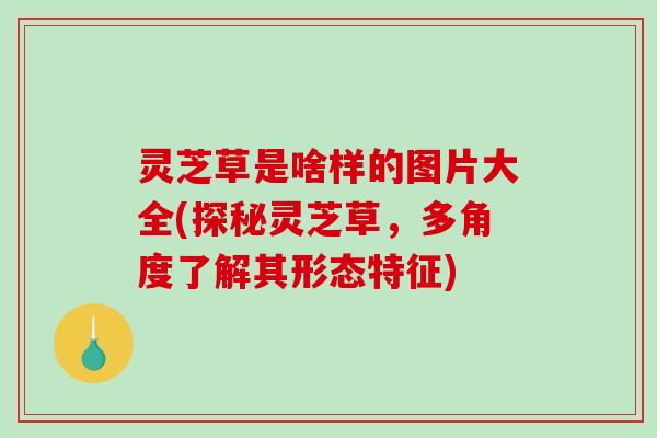 灵芝草是啥样的图片大全(探秘灵芝草，多角度了解其形态特征)