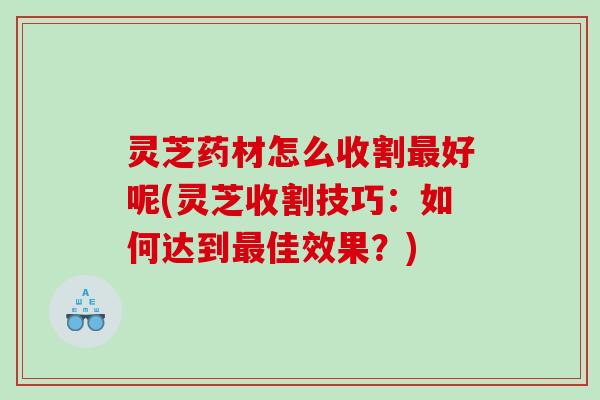 灵芝药材怎么收割好呢(灵芝收割技巧：如何达到佳效果？)