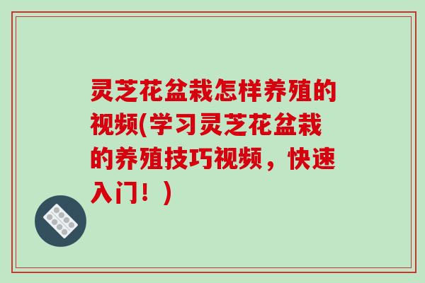 灵芝花盆栽怎样养殖的视频(学习灵芝花盆栽的养殖技巧视频，快速入门！)