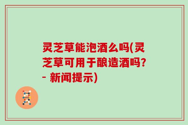 灵芝草能泡酒么吗(灵芝草可用于酿造酒吗？- 新闻提示)