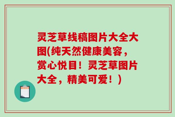 灵芝草线稿图片大全大图(纯天然健康美容，赏心悦目！灵芝草图片大全，精美可爱！)