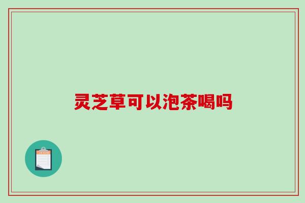 灵芝草可以泡茶喝吗