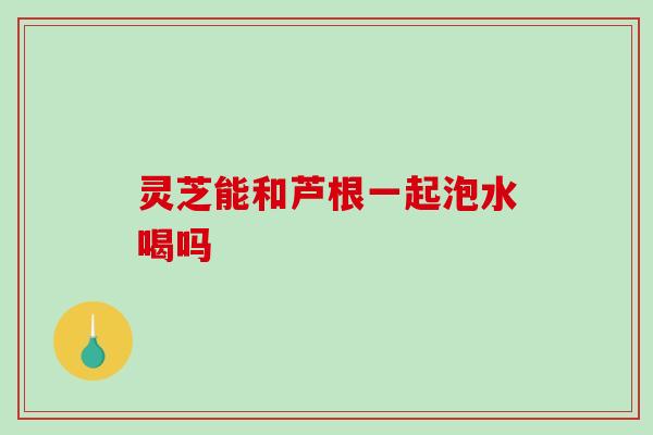 灵芝能和芦根一起泡水喝吗