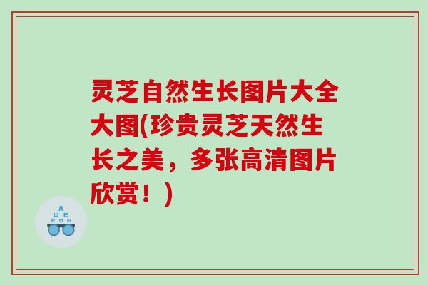灵芝自然生长图片大全大图(珍贵灵芝天然生长之美，多张高清图片欣赏！)