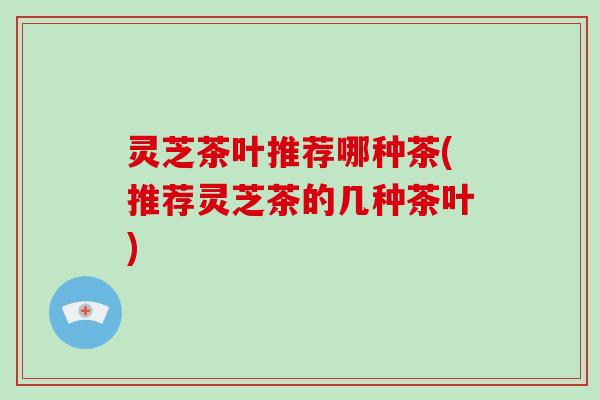 灵芝茶叶推荐哪种茶(推荐灵芝茶的几种茶叶)