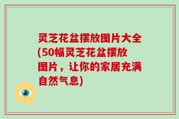 灵芝花盆摆放图片大全(50幅灵芝花盆摆放图片，让你的家居充满自然气息)