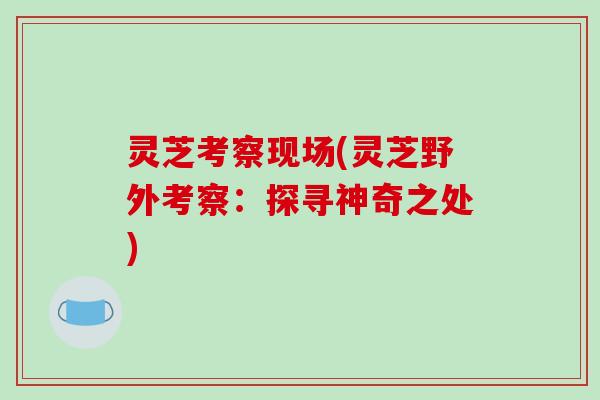 灵芝考察现场(灵芝野外考察：探寻神奇之处)