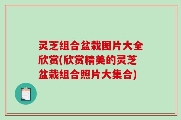 灵芝组合盆栽图片大全欣赏(欣赏精美的灵芝盆栽组合照片大集合)