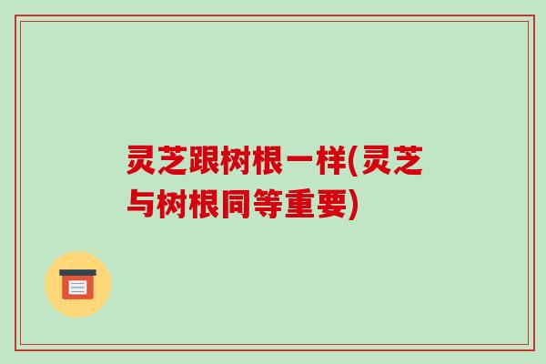灵芝跟树根一样(灵芝与树根同等重要) 灵芝跟树根一样(灵芝与树根同等重要)