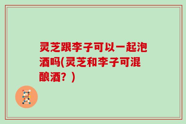 灵芝跟李子可以一起泡酒吗(灵芝和李子可混酿酒？)