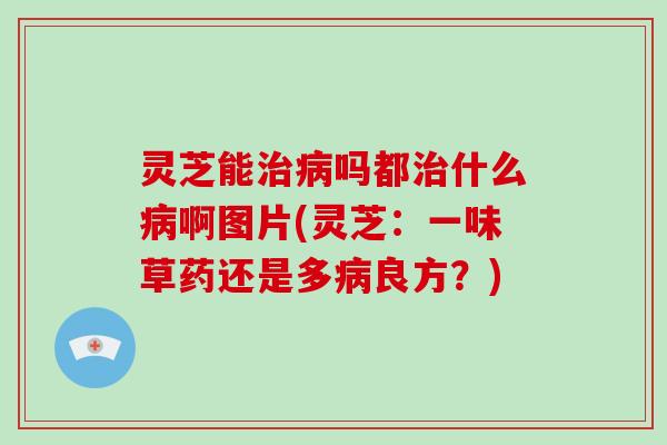 灵芝能吗都什么啊图片(灵芝：一味草药还是多良方？)