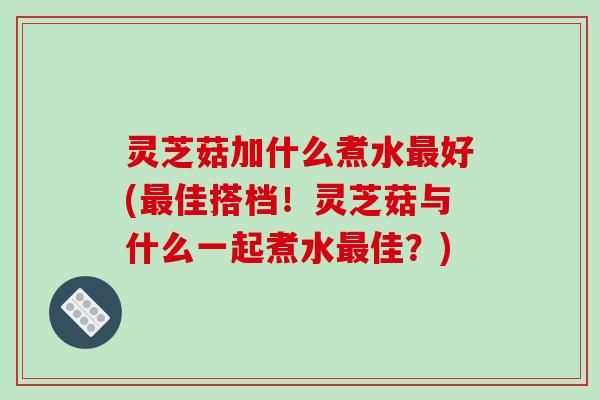 灵芝菇加什么煮水好(佳搭档!灵芝菇与什么一起煮水佳?) 灵芝菇加什么煮水好(佳搭档!灵芝菇与什么一起煮水佳?)