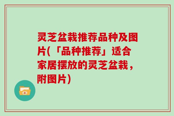 灵芝盆栽推荐品种及图片(「品种推荐」适合家居摆放的灵芝盆栽,附图片) 灵芝盆栽推荐品种及图片(「品种推荐」适合家居摆放的灵芝盆栽,附图片)