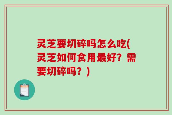 灵芝要切碎吗怎么吃(灵芝如何食用好？需要切碎吗？)