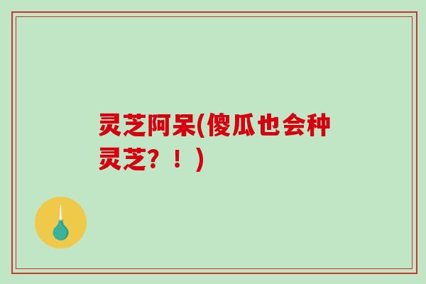 灵芝阿呆(傻瓜也会种灵芝？！)