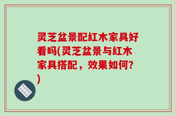 灵芝盆景配红木家具好看吗(灵芝盆景与红木家具搭配，效果如何？)