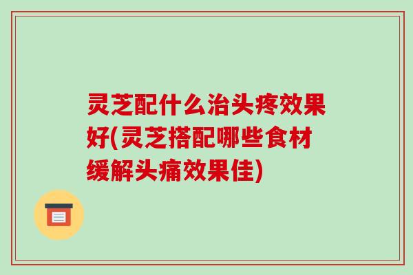 灵芝配什么头疼效果好(灵芝搭配哪些食材缓解头痛效果佳) 灵芝配什么头疼效果好(灵芝搭配哪些食材缓解头痛效果佳)