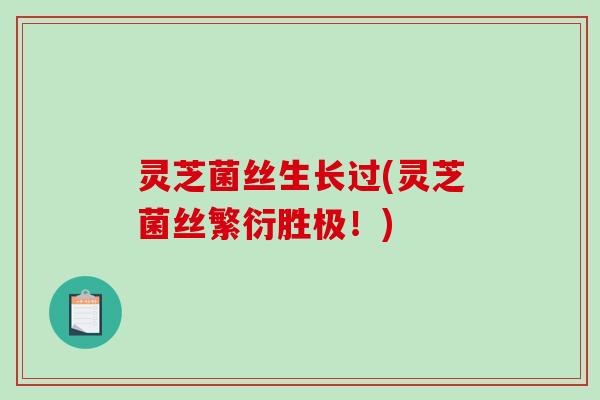 灵芝菌丝生长过(灵芝菌丝繁衍胜极！)