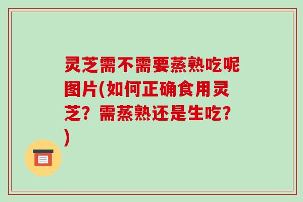 灵芝需不需要蒸熟吃呢图片(如何正确食用灵芝？需蒸熟还是生吃？)