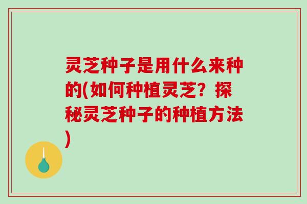 灵芝种子是用什么来种的(如何种植灵芝？探秘灵芝种子的种植方法)