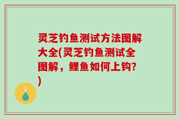 灵芝钓鱼测试方法图解大全(灵芝钓鱼测试全图解，鲤鱼如何上钩？)