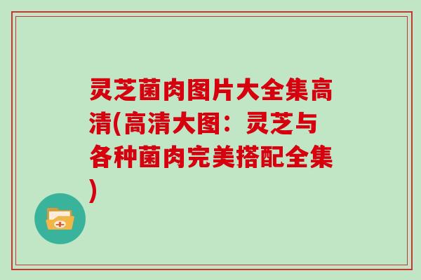 灵芝菌肉图片大全集高清(高清大图：灵芝与各种菌肉完美搭配全集)