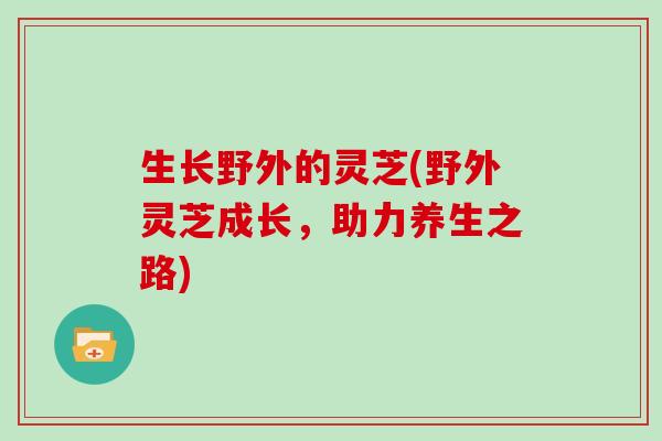 生长野外的灵芝(野外灵芝成长，助力养生之路)