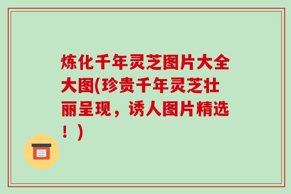 炼化千年灵芝图片大全大图(珍贵千年灵芝壮丽呈现，诱人图片精选！)