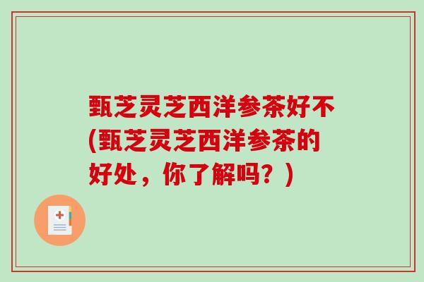 甄芝灵芝西洋参茶好不(甄芝灵芝西洋参茶的好处，你了解吗？)
