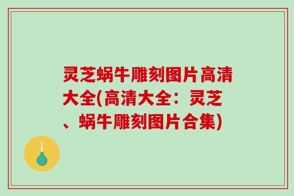 灵芝蜗牛雕刻图片高清大全(高清大全：灵芝、蜗牛雕刻图片合集)