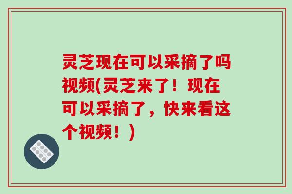 灵芝现在可以采摘了吗视频(灵芝来了！现在可以采摘了，快来看这个视频！)