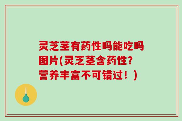 灵芝茎有吗能吃吗图片(灵芝茎含？营养丰富不可错过！)