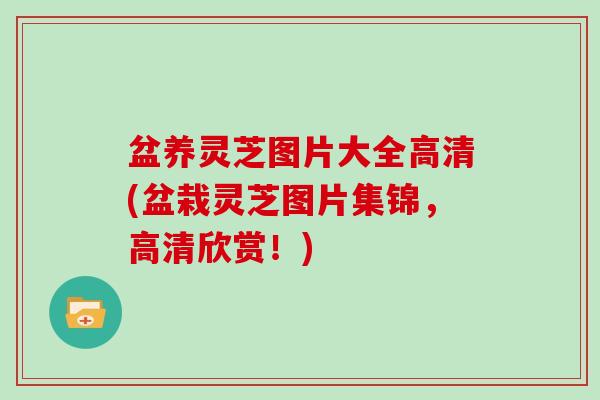 盆养灵芝图片大全高清(盆栽灵芝图片集锦，高清欣赏！)